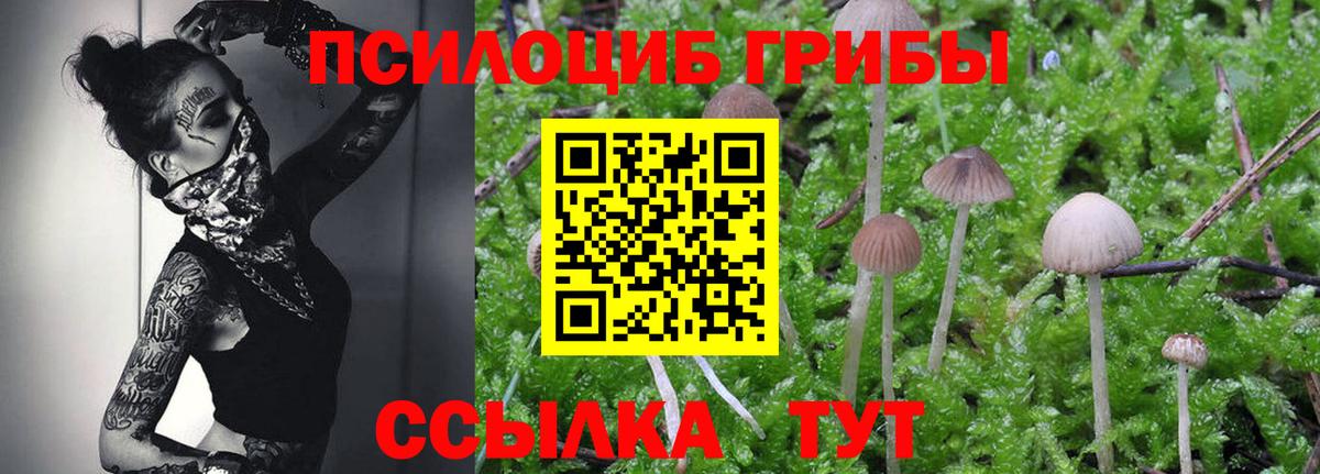 Галлюциногенные грибы Magic Shrooms  Вход с VPN  Верхний Уфалей 